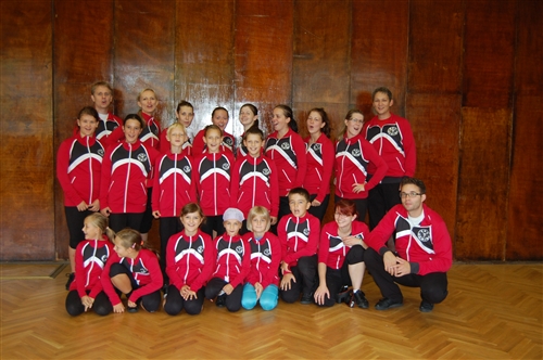 Obrázek v galerii